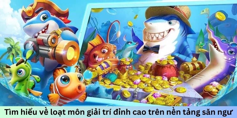 Tìm hiểu về loạt môn giải trí đỉnh cao trên nền tảng săn ngư